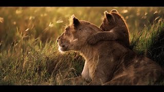 Africa, le Serengeti