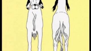 Le Setter