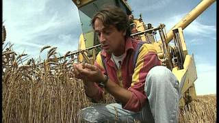 C'est pas sorcier - Du blé au pain