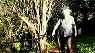 Drogues et cerveau – Drogues psychédéliques