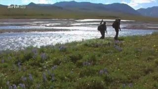 Voyages au bout du Monde - Alaska, l'Arctic National Wildlife Refuge