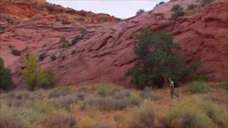 Voyages au bout du Monde - Etats-Unis, le parc national de Zion et le canyon de Chelly