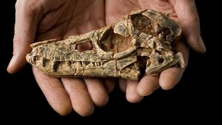 Piège mortel pour les dinosaures