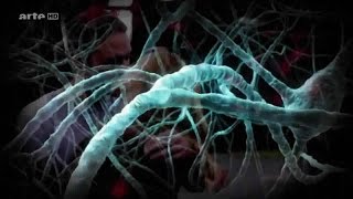 Le pouvoir illimité du cerveau humain