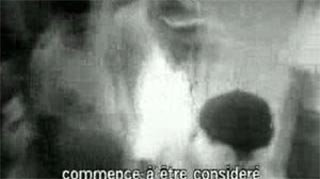 Ernesto Guevara, le Che