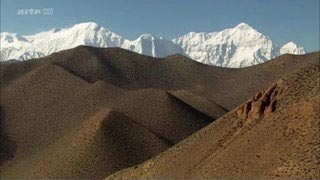 Documentaire Sécheresse au royaume du Mustang