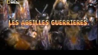 Les abeilles guerrières