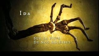 Documentaire Ida, sur la piste de nos ancêtres