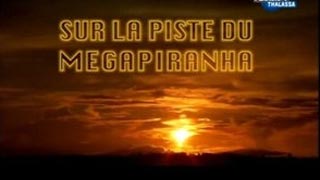 Documentaire Sur la piste du mégapiranha