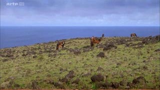 Documentaire La disparition des Rapa Nui