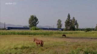Documentaire Un billet de train pour le Chili : Santiago – Rancagua – Talca – Constitución