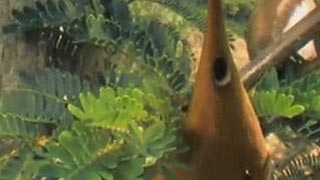 La force cachée des plantes – Comme des bêtes!