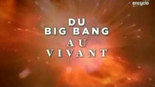 Documentaire Du big bang au vivant