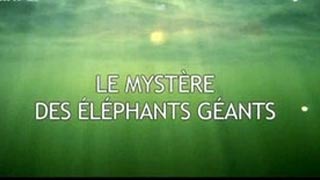 Documentaire Le mystère des éléphants géants