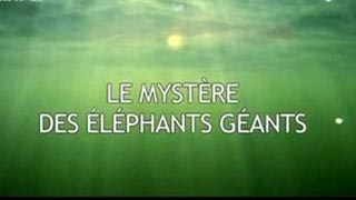 Le mystère des éléphants géants