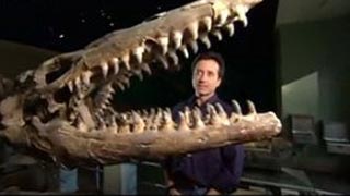 Prehistoric Dallas