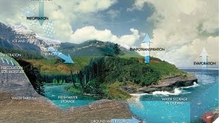 L'eau, le cycle de la vie