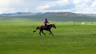 Documentaire Les steppes