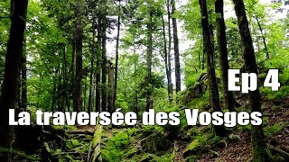 Documentaire La traversée des Vosges – Ep 4