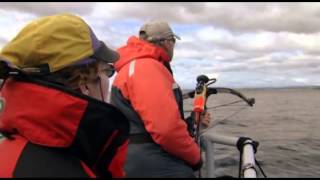 Humanima, au rythme des grandes baleines
