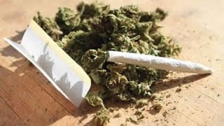 Cannabis : propriétés, bienfaits, dangers