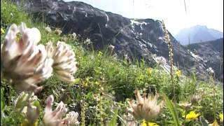 Documentaire Randonnées dans les Alpes du Nord