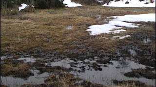 Documentaire Randonnées dans les Pyrénées