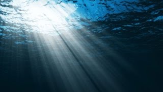 Les mystères de la vie sur la planète terre