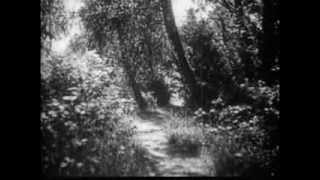 Les années de guerre 1939-1945 – Les années 1938-40