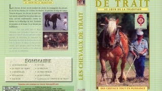 L’utilisation des chevaux de traits et traditions