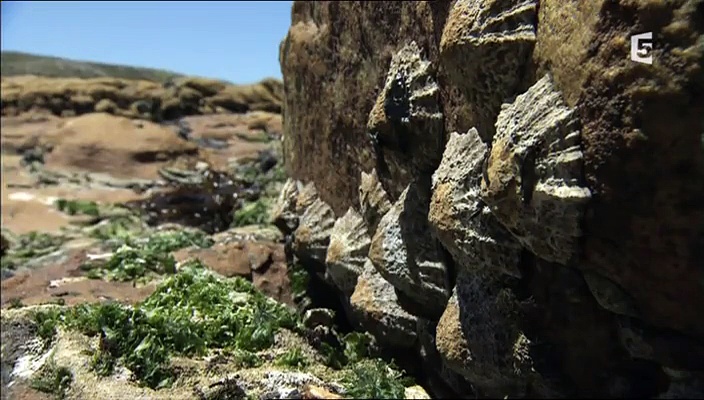 Documentaire A la croisée des océans