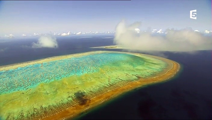 Documentaire Aux origines de la vie – De l’eau à la Terre