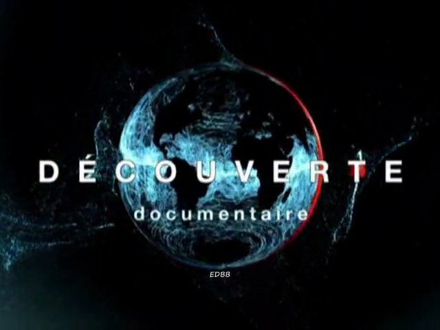 Découverte - La nouvelle vie de bébé mammouth