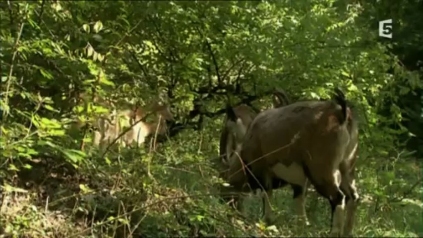 Géorgie, perle du Caucase