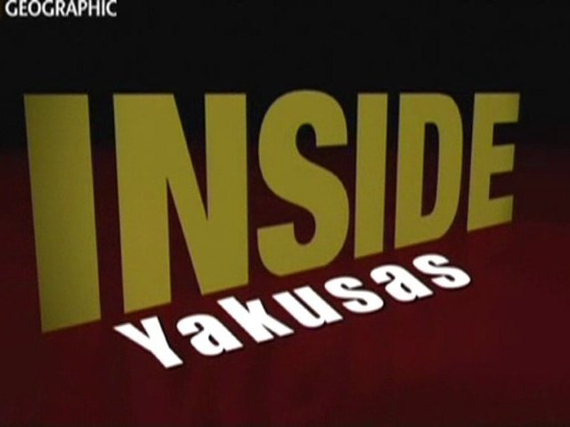 Documentaire Inside – Les yakuzas