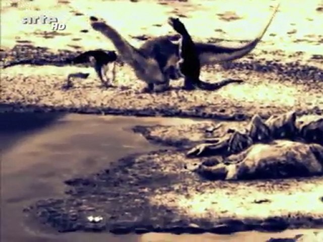 Jurassic Fight Club - La guerre de l'eau