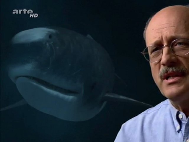 Jurassic Fight Club - Le tueur des mers profondes