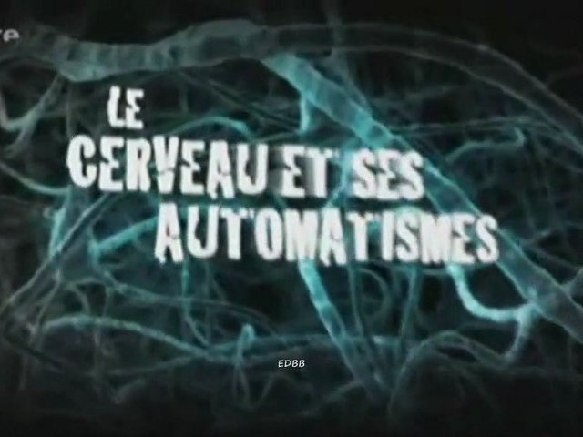 Documentaire Le cerveau et ses automatismes: la magie de l’inconscient