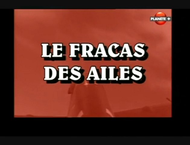 Le fracas des ailes - Les ailes du soleil levant