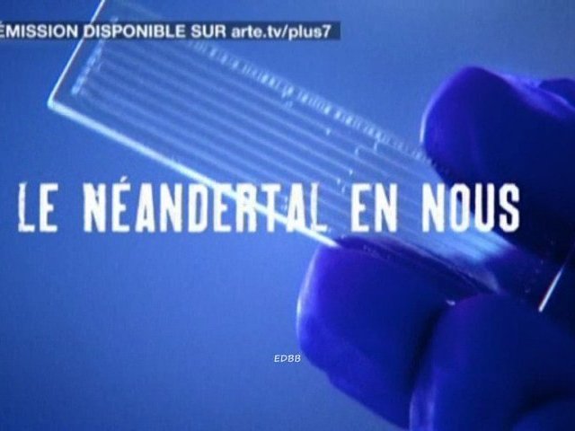 Documentaire Le néandertal en nous : les premiers gènes