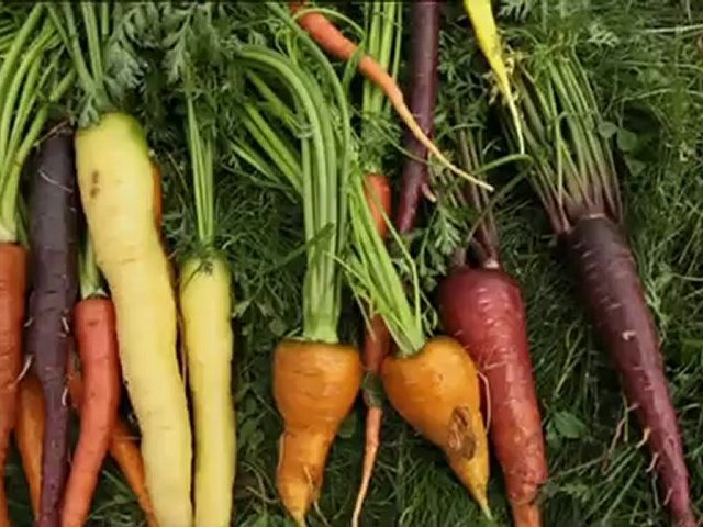 Légumes d’antan, retour gagnant