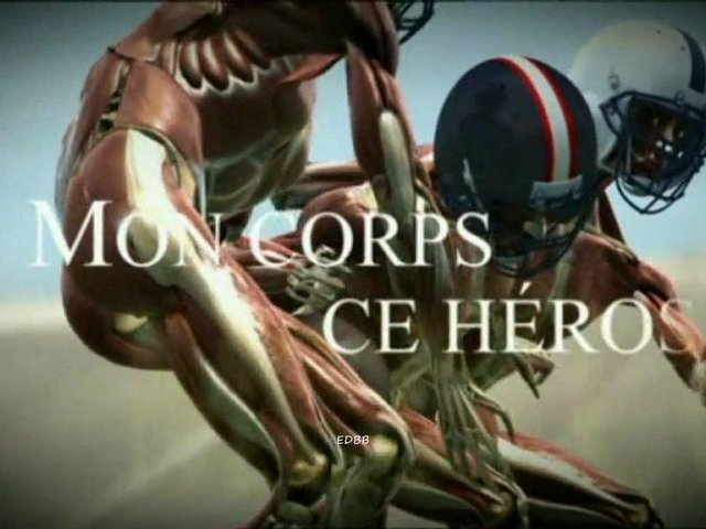 Mon corps ce héros - Les muscles