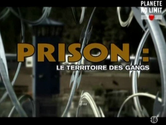 Prison: le territoire des gangs