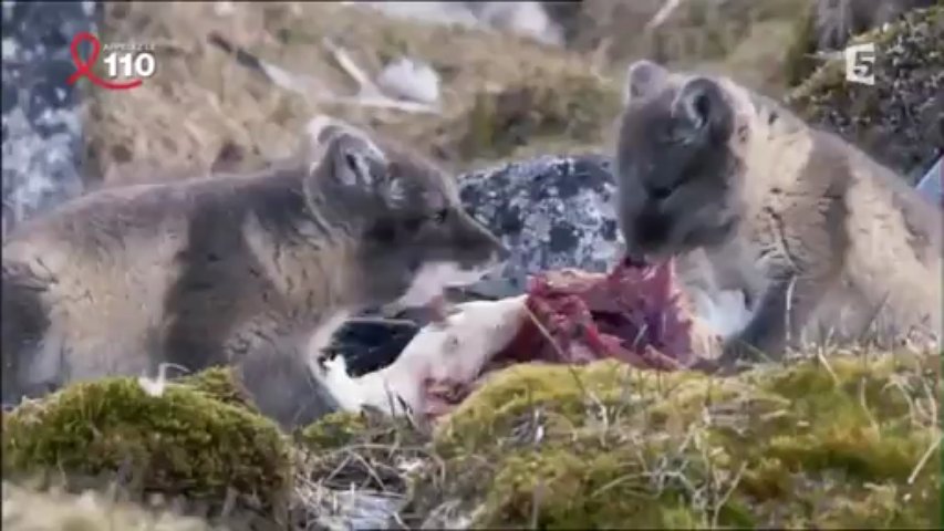 Révolutions dans la nature