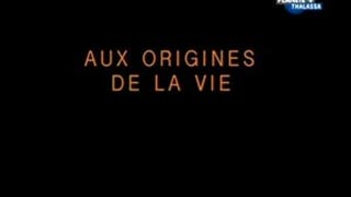 Documentaire Aux origines de la vie