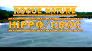 Nature féroce - Hippopotame & crocodile