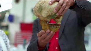 L’étrange affaire de l’Homme de Piltdown