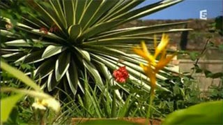 Planète Insolite – Porto Rico