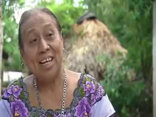 Secrets et traditions de la médecine mexicaine