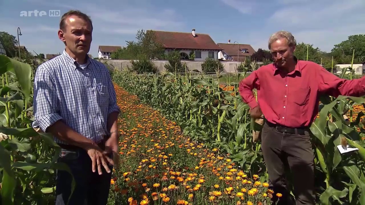 Documentaire Semences, les gardiens de la biodiversité